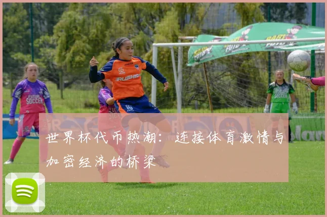 世界杯代币热潮：连接体育激情与加密经济的桥梁