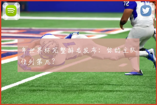 年世界杯完整排名发布：你的主队位列第几？