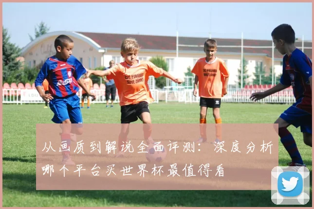 从画质到解说全面评测:深度分析哪个平台买世界杯最值得看