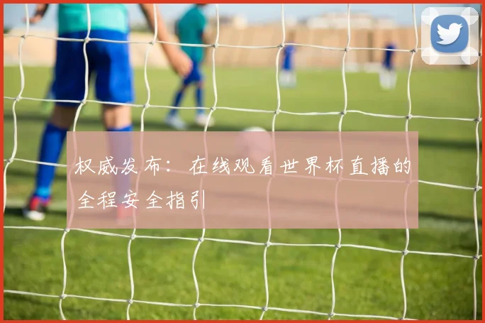 权威发布：在线观看世界杯直播的全程安全指引