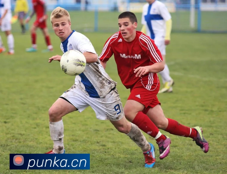 多媒体互动体验