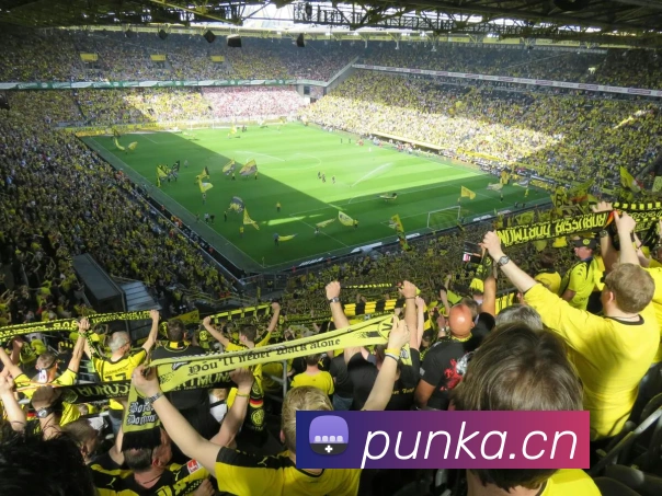 星空体育登录入口网站APP 体育赛事宣传图